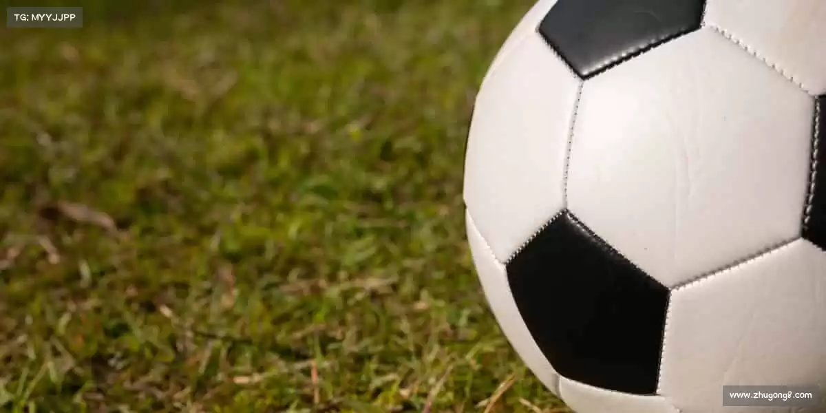 为什么选择我们